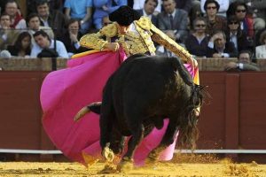 Chicuelina de Oliva Soto