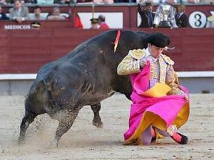 Chicuelina de rodillas