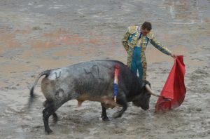 DSC_3654 - copia