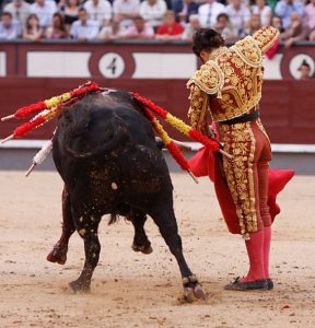 Kikiriki de Morante (2)