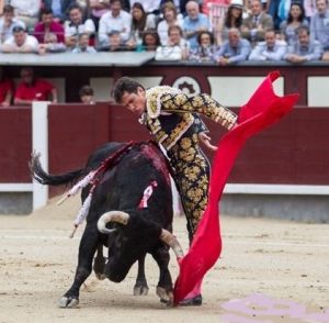 Luquesina de Daniel Luque (3) - copia