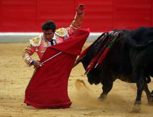 LR20080524_TOROS_9.jpg