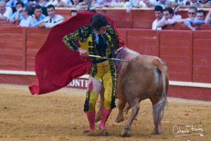 Molinete invertido de Morante