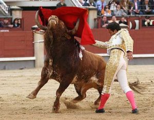 Pase de Pecho de Victor Puerto