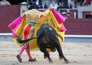 Tafallera de P&eacute;rez Mota