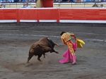 Luis David Adame