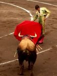 Perera