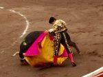 Garrido